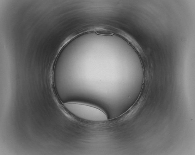 X0000110740858200906150927
