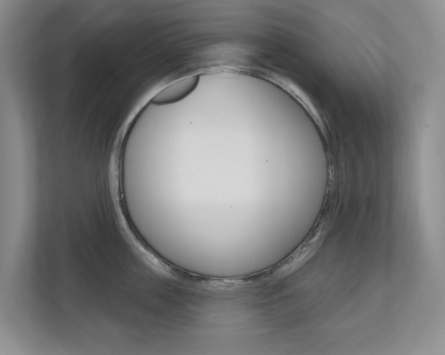 X0000110740859200906150927