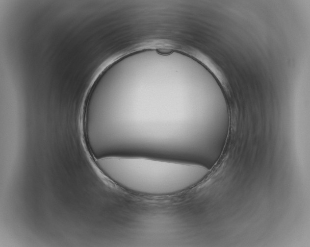 X0000110740861200906150927