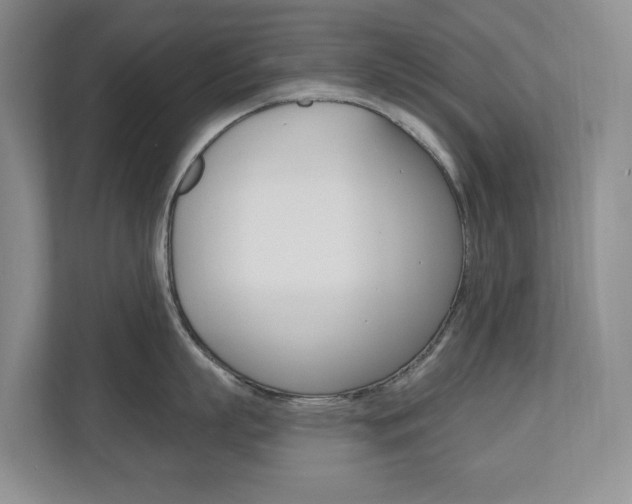 X0000110740863200906150927