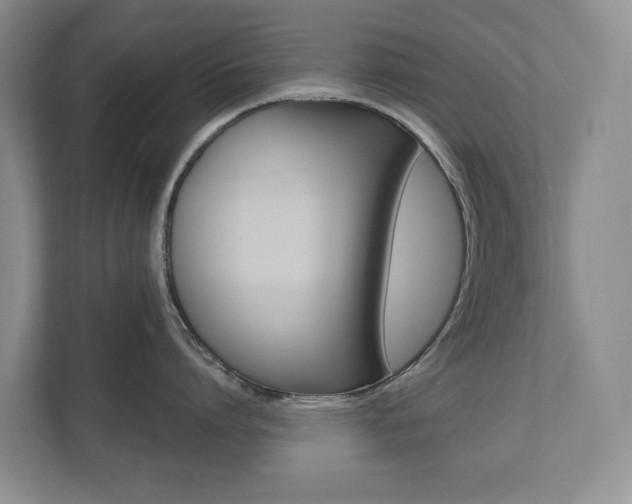 X0000110740864200906150927