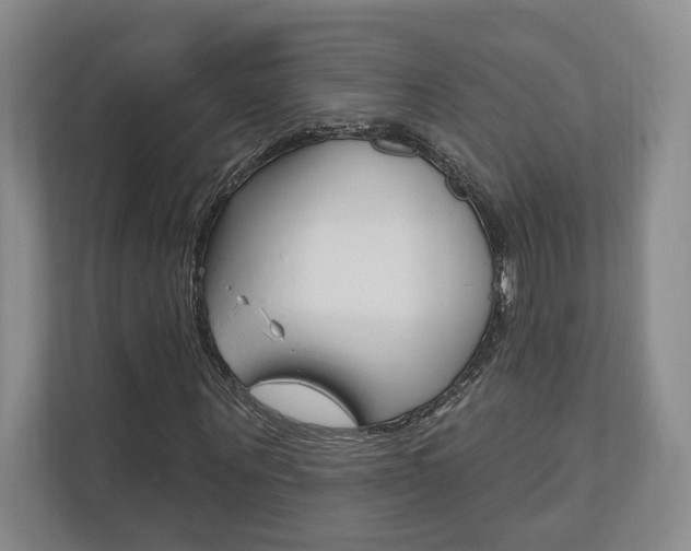 X0000110740867200906150927