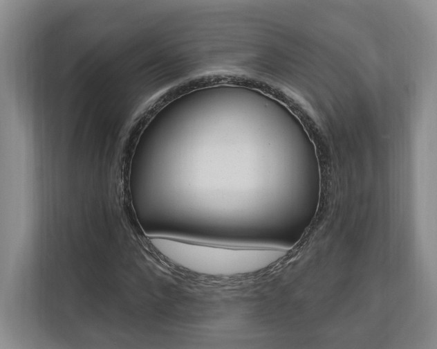 X0000110740872200906150927