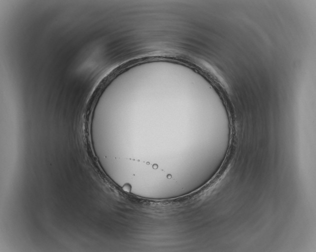 X0000110740875200906150927