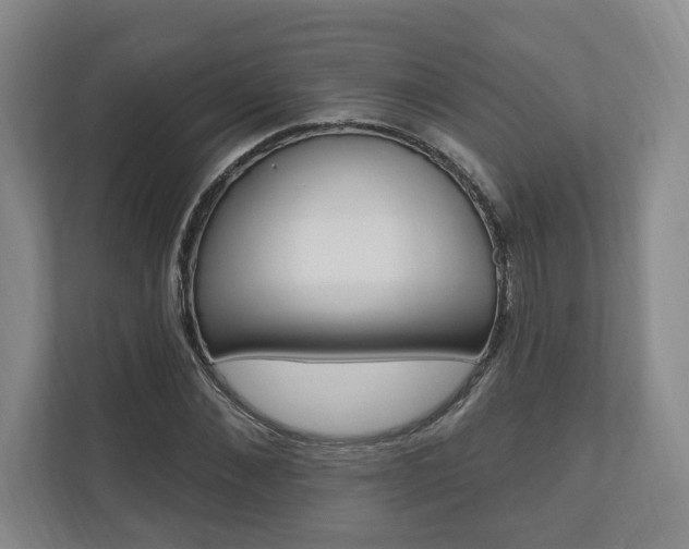 X0000110740876200906150927