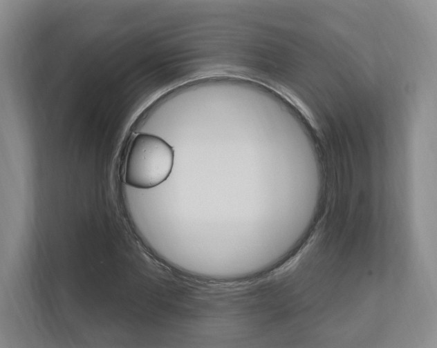 X0000110740877200906150927