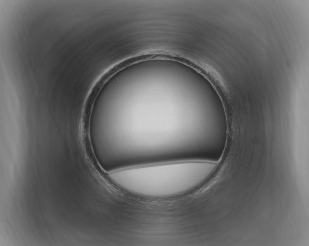 X0000110740880200906150927