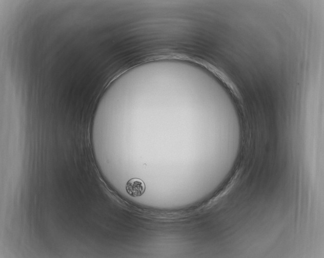 X0000110740889200906150926