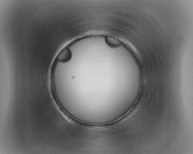 X0000110740894200906150926