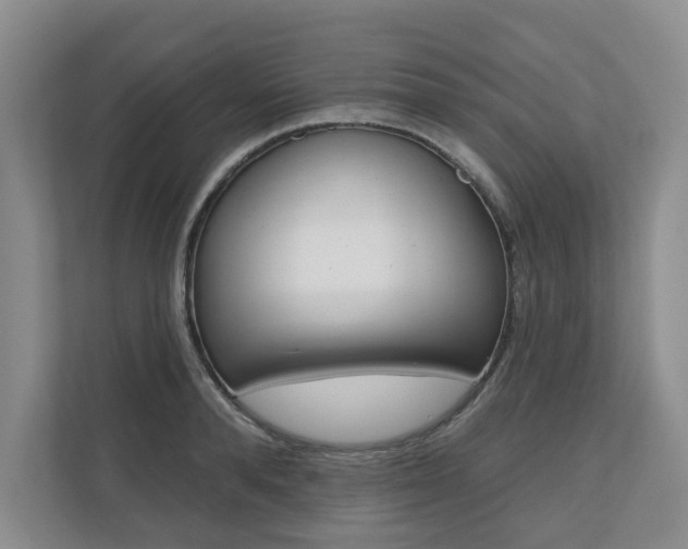 X0000110740896200906150926