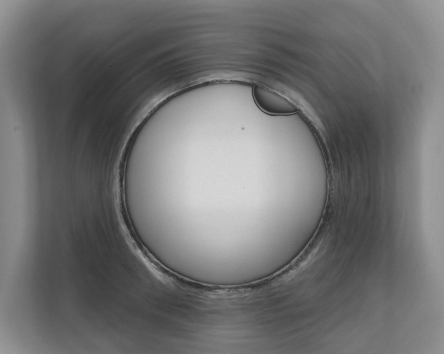 X0000110740898200906150926