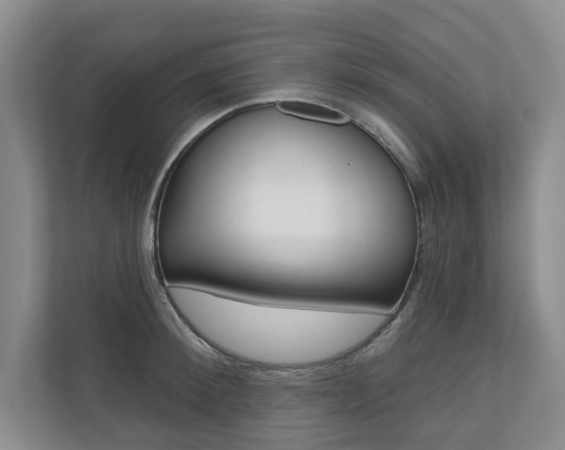 X0000110740900200906150926