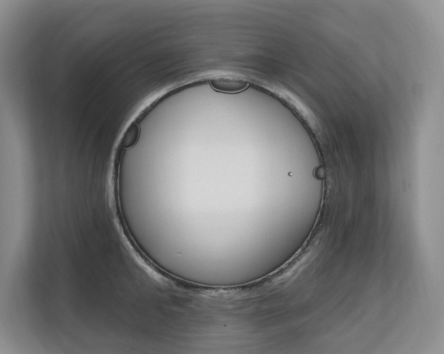 X0000110740902200906150926