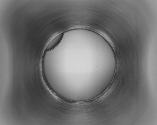 X0000110740906200906150926