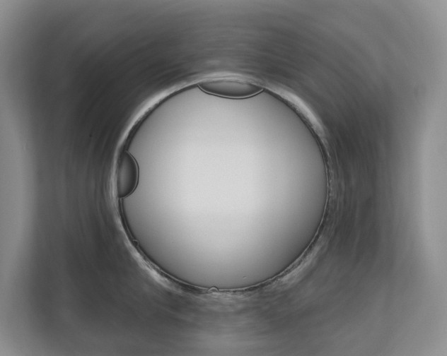 X0000110740910200906150926