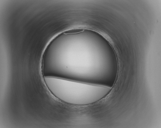 X0000110740912200906150926