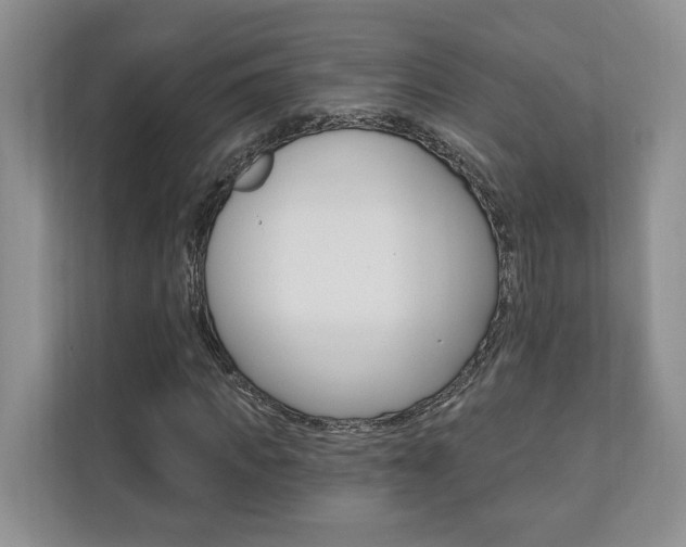 X0000110740917200906150926