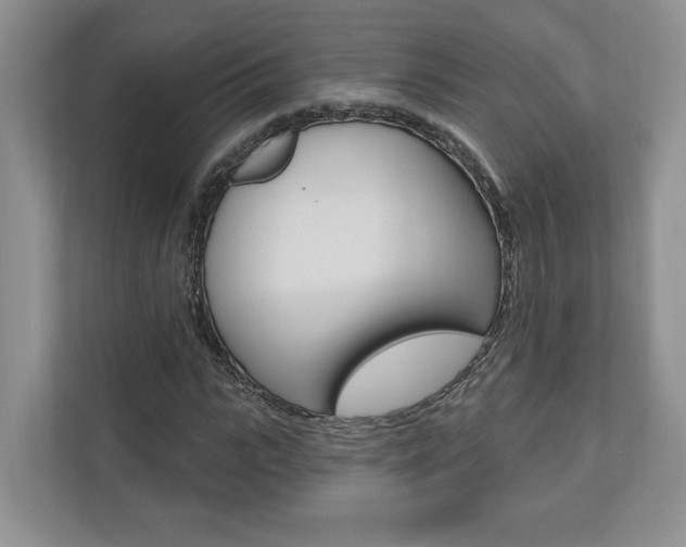 X0000110740919200906150926