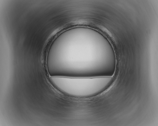 X0000110740922200906150926