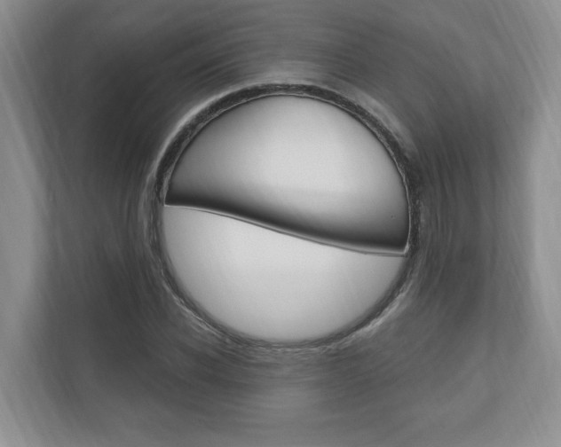 X0000110740926200906150926