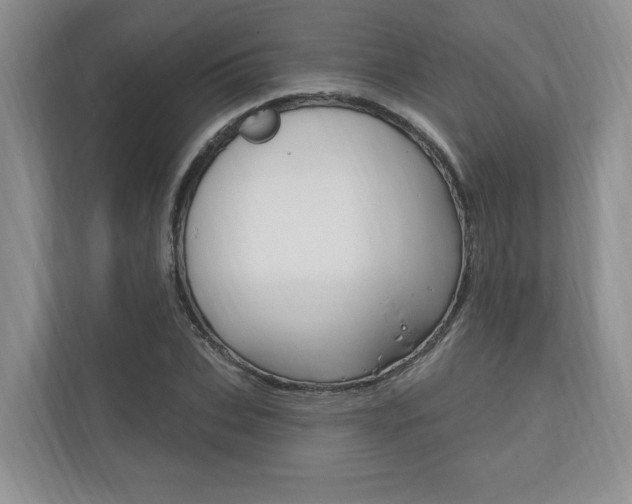 X0000110740927200906150926