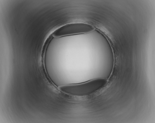 X0000110740928200906150926