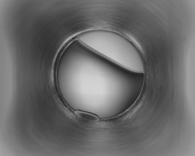 X0000110740932200906150926