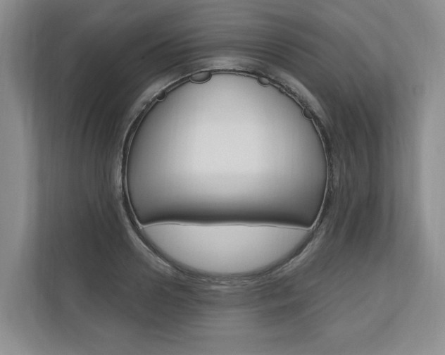 X0000110740938200906150926