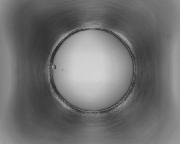 X0000110740941200906150926