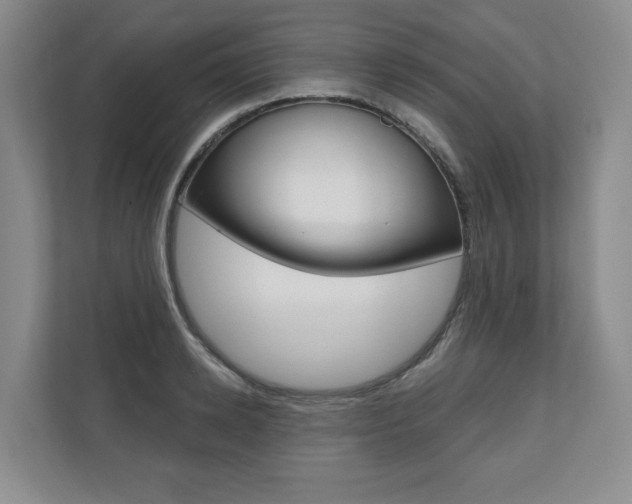 X0000110740942200906150926