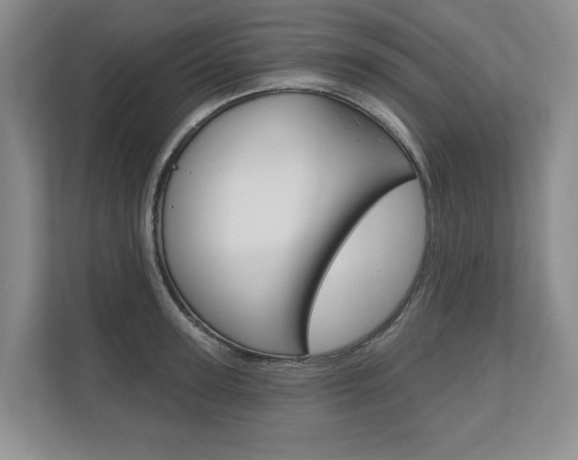 X0000110740947200906150926