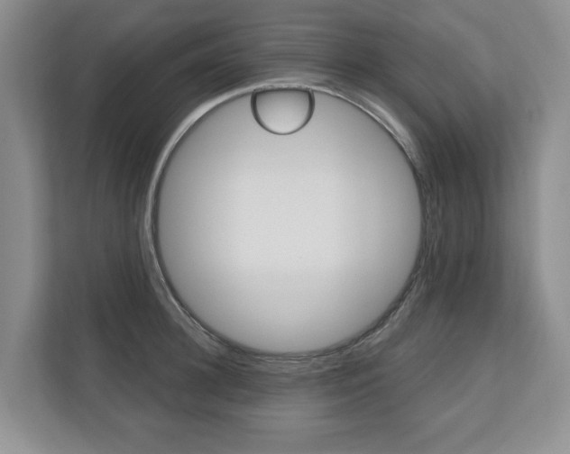 X0000110740948200906150926