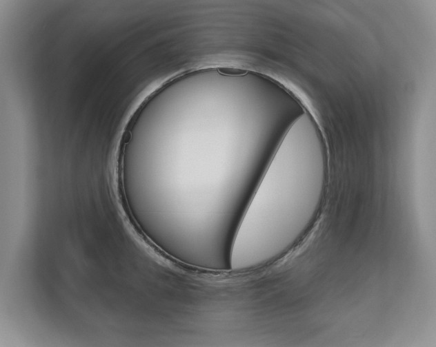 X0000110740949200906150926