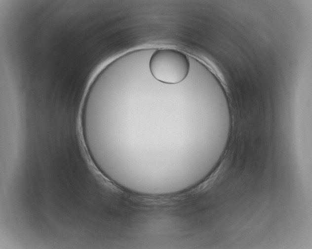 X0000110740952200906150926
