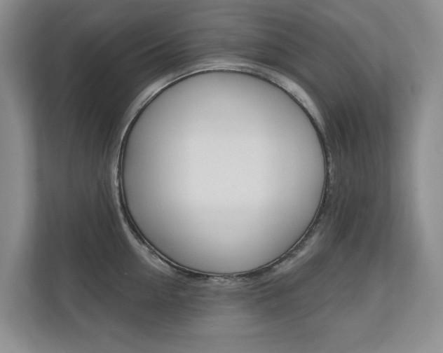 X0000110740954200906150926