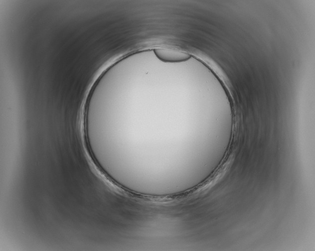 X0000110740957200906150926