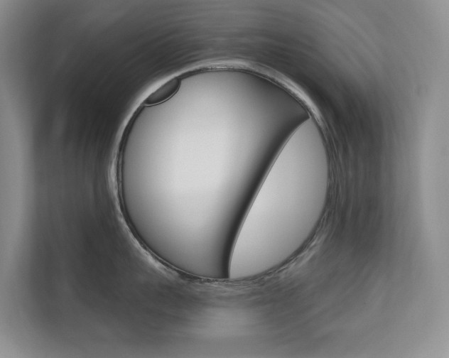 X0000110740959200906150926