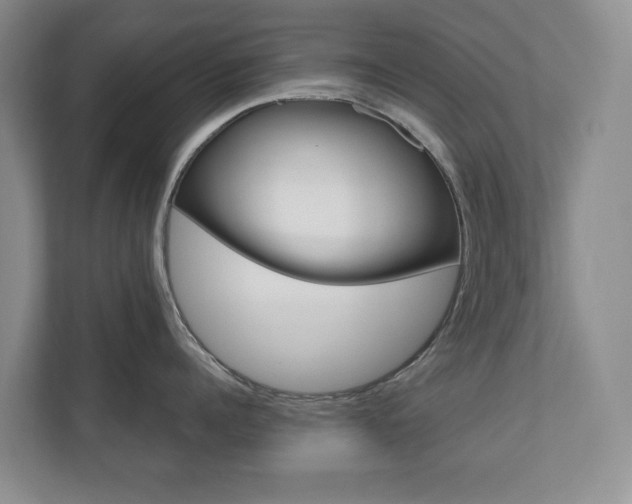 X0000110740960200906150926