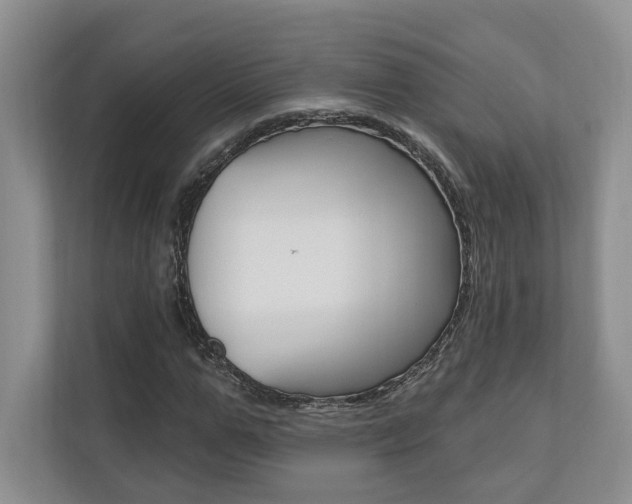 X0000110740967200906150925