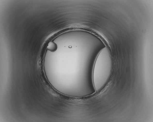 X0000110740971200906150925