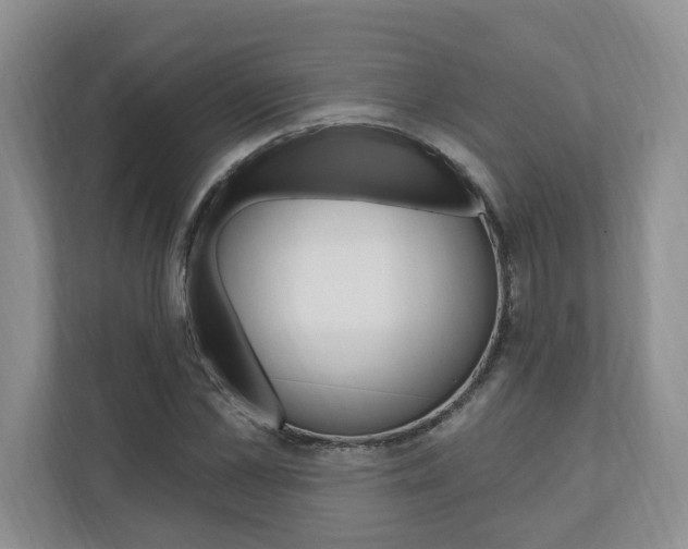 X0000110740973200906150925