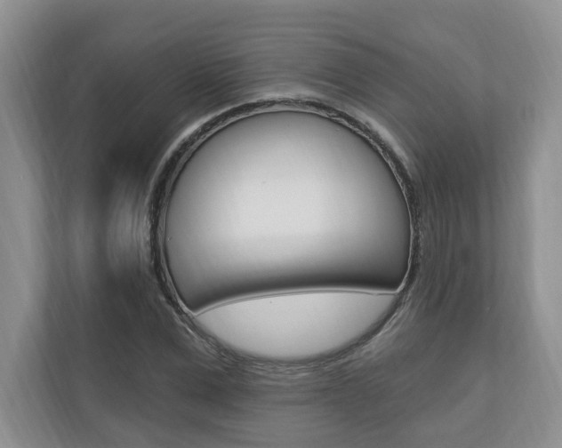 X0000110740975200906150925