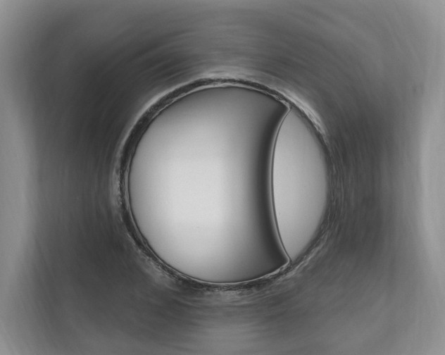 X0000110740976200906150925