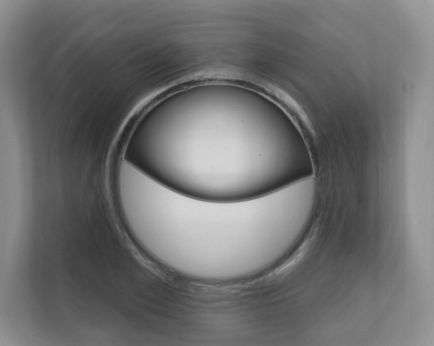 X0000110740981200906150925