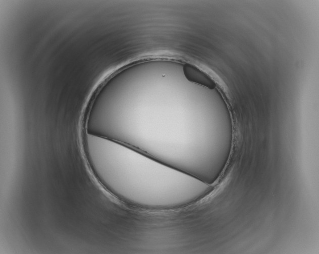 X0000110740989200906150925
