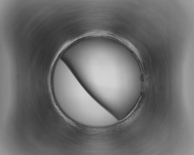 X0000110740997200906150925