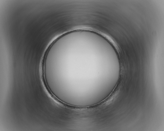 X0000110740999200906150925