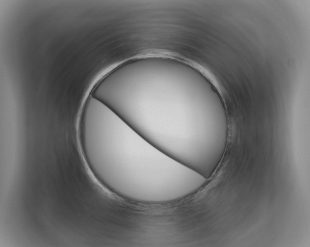 X0000110741003200906150925