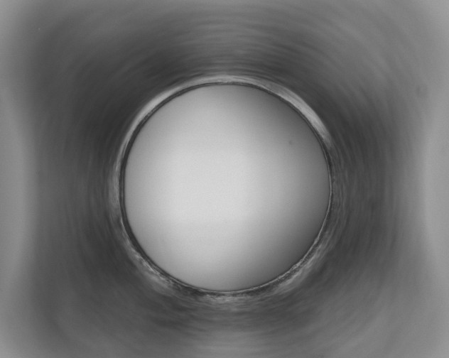 X0000110741004200906150925