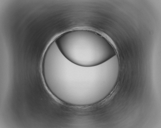 X0000110741005200906150925